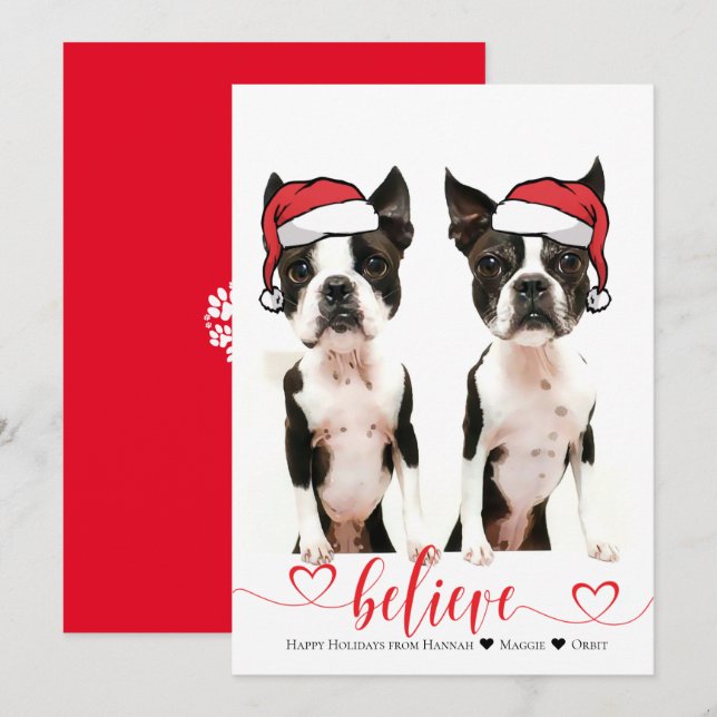 Believe Santa Hat Pet Photo Holiday Card (Front/Back)