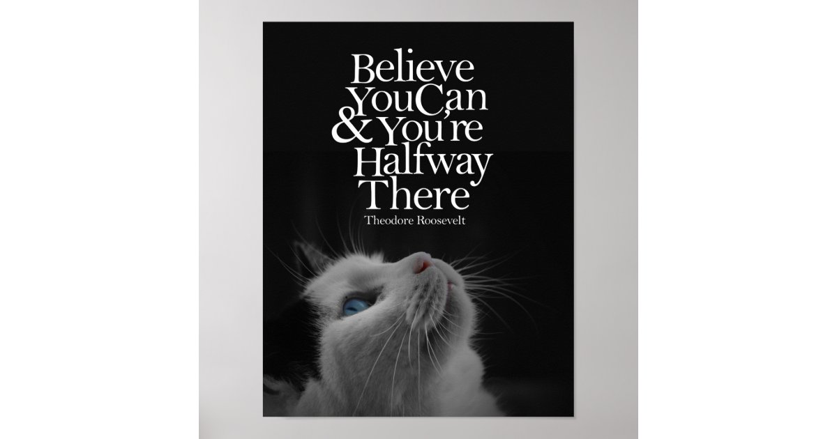 Believe You Can Beautiful Cat Motivational Quote Poster | Zazzle