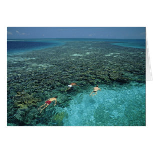 Belise, Barrier Reef, Lighthouse Reef, Blue