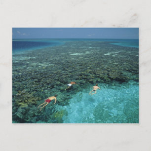Belise, Barrier Reef, Lighthouse Reef, Blue Postcard