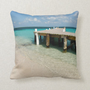 Belise, Caribbean Sea, Goff Caye. A Small Island Cushion