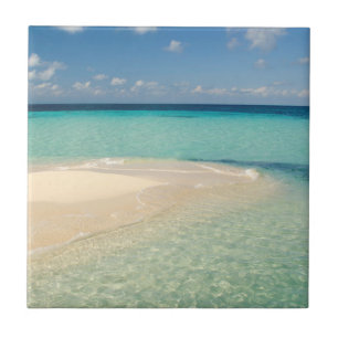 Belise, Caribbean Sea. Goff Caye, A Small Island Tile