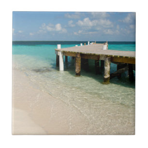 Belise, Caribbean Sea, Goff Caye. A Small Island Tile