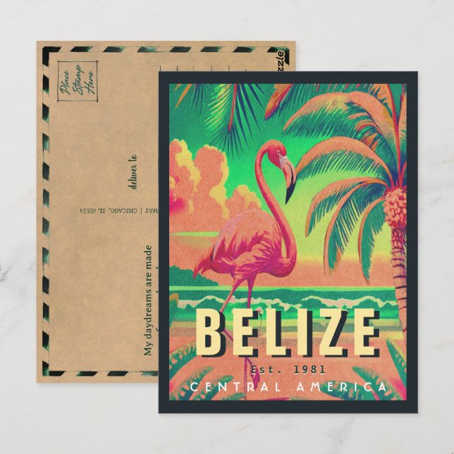 Belise Central America Vintage Tropical 1950s Postcard (Front/Back)