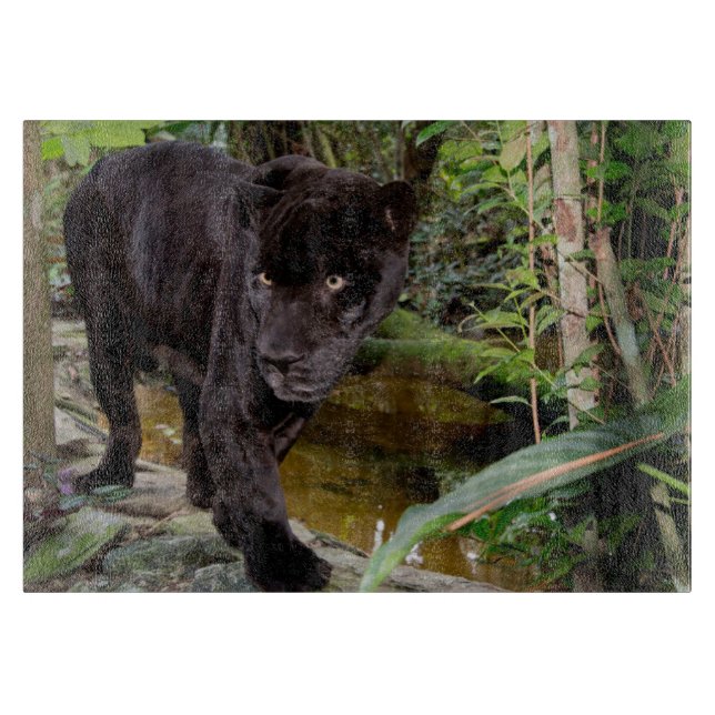 Belise City Zoo. Black panther Cutting Board (Front)