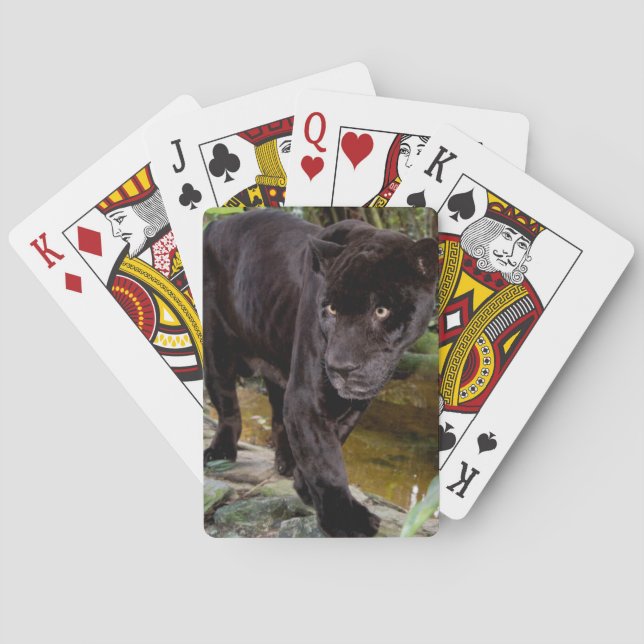 Belise City Zoo. Black panther Playing Cards (Back)