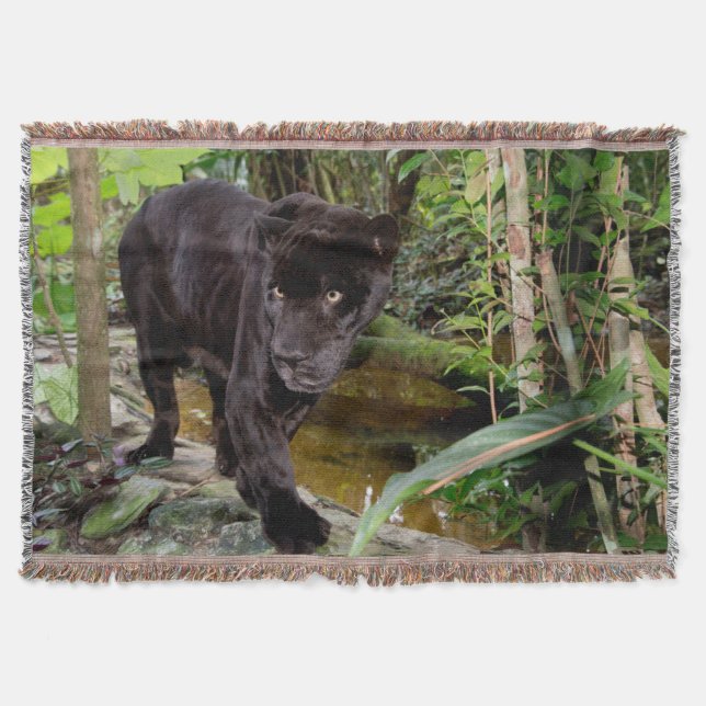 Belise City Zoo. Black panther Throw Blanket (Front)