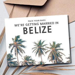 Belise Destination Wedding Save the Date Announcement Postcard