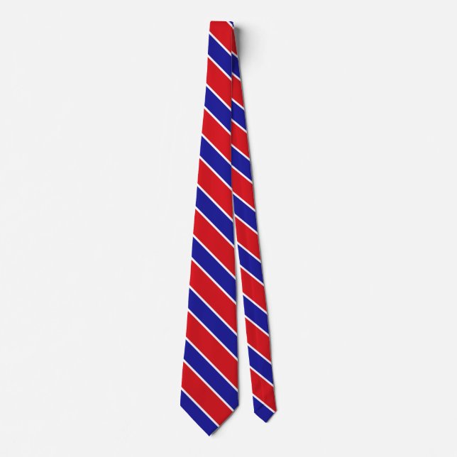 Belise Flag Elegant Patriotic Neck Tie (Front)
