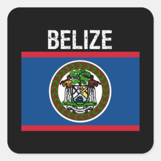 Belise,flag of Belise Square Sticker