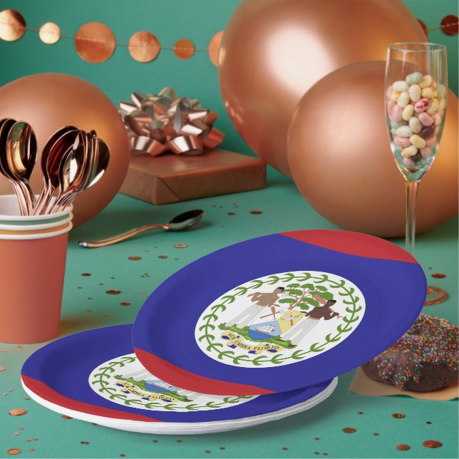 Belise flag paper plate (Multi)