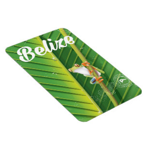 belise Frog vintage cartoon travel poster Magnet