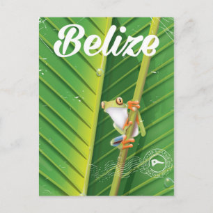 belise Frog vintage cartoon travel poster Postcard