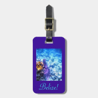 Belise Luggage Tag
