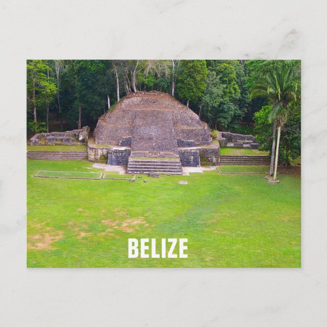 Belise Mayan Ruins Caracol Travel Photo Postcard (Front)