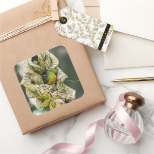 Belise Olive Euphonia Bird Photography Square Sticker