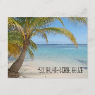 Belise Palm Trees and Caribbean Sea Landscape Postcard