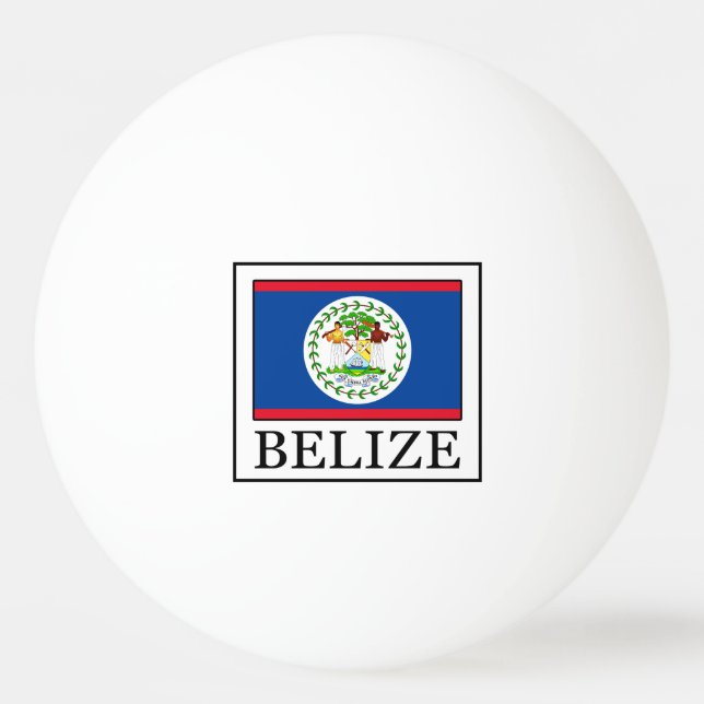 Belise Ping Pong Ball (Front)