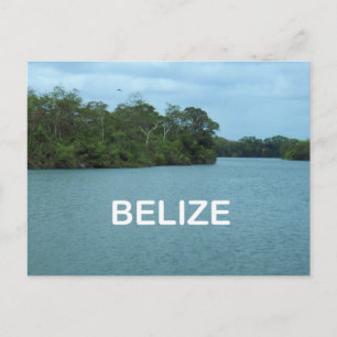 Belise Postcard