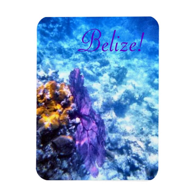 Belise! Purple Sea Fan Premium Magnet (Vertical)