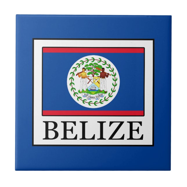 Belise Tile (Front)