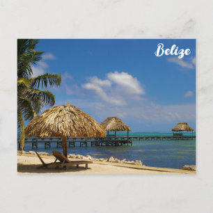 Belise Tropical Beach Ambergris Caye Postcard