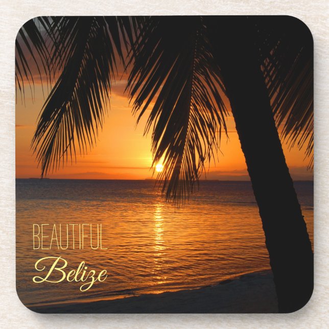 Belise Tropical Palm Tree Sunset Photograph Coaster (Front)