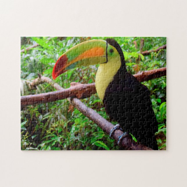 Belise Tucon Birds. Jigsaw Puzzle (Horizontal)