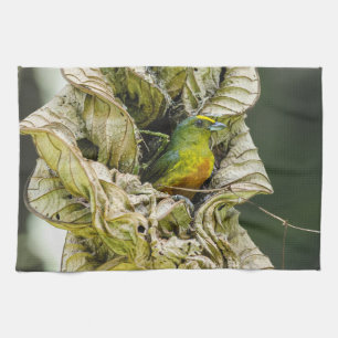 Belise Wildlife: Olive Euphonia Bird Photography Tea Towel