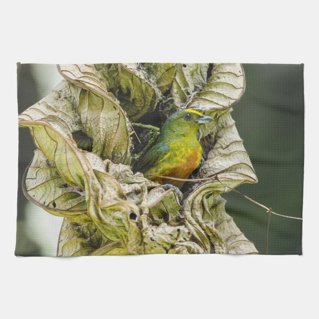 Belise Wildlife: Olive Euphonia Bird Photography Tea Towel (Horizontal)