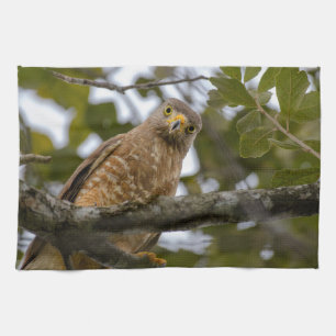 Belise Wildlife: Roadside Hawk Photography Tea Towel