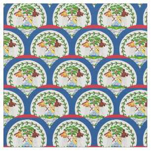 Belize Flag & Belize Trendy Fabric /fashion