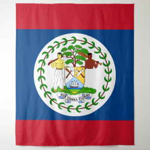 Belize flag Tapestry