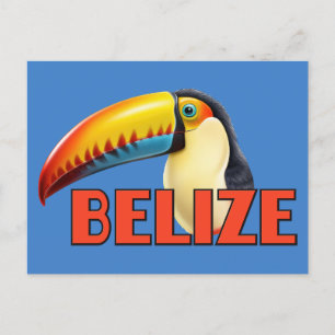 BELIZE Toucan Postcard