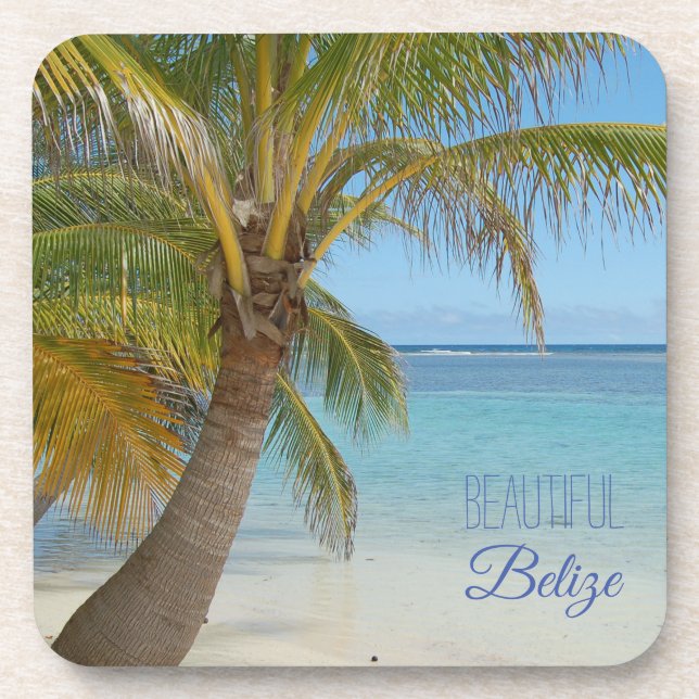 Belize Tropical Palm Tree Beach Scene Photograph Coaster (Front)