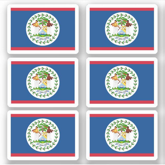Belizean flag (Front)