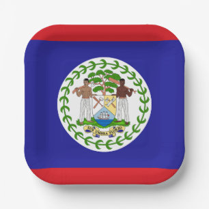 Belizean Flag Paper Plate
