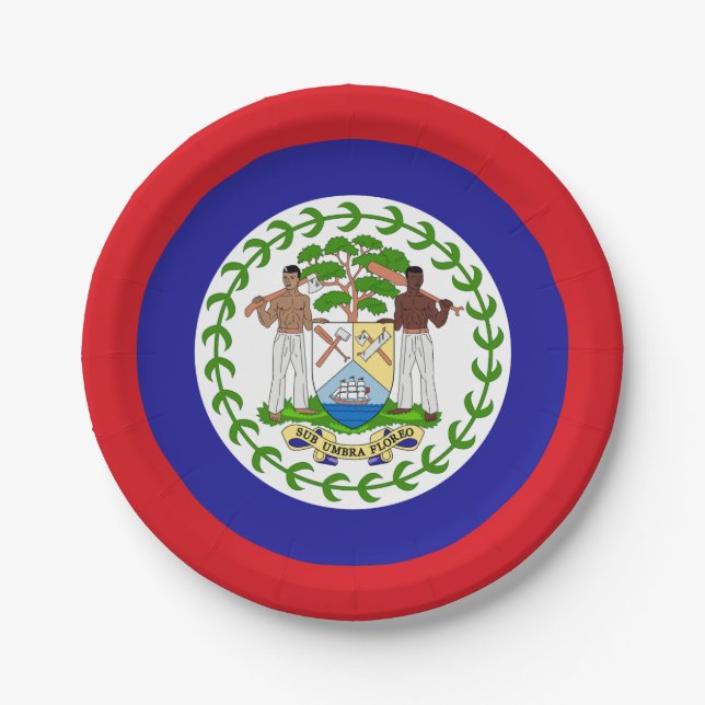 Belizean Flag Paper Plate (Front)