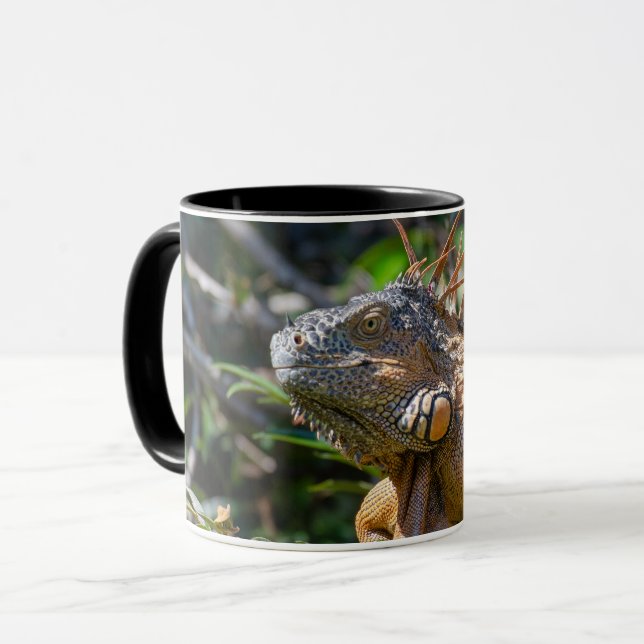Belizean Orange Iguana - Photography Art Mug (Front Left)