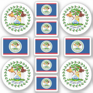 Belizean state symbols / coat of arms and flag