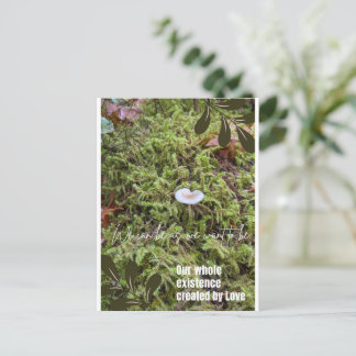 Belknap Mushroom Postcard with Connection Quote