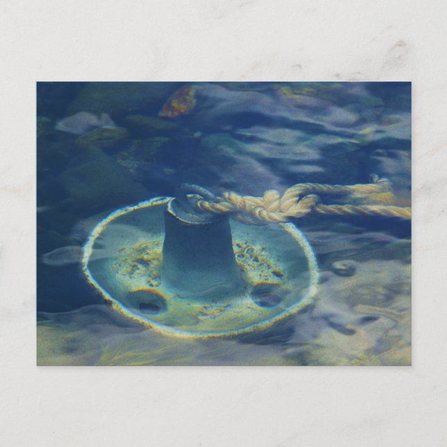 Bell Anchor on River Bottom Postcard (Front)