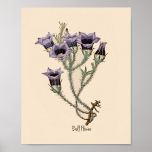 Bell Flower Botanical Poster