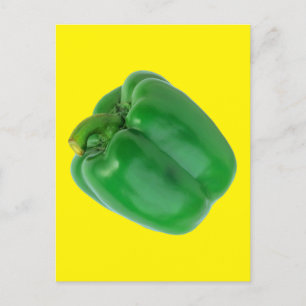 BELL PEPPER (GREEN) POSTCARD
