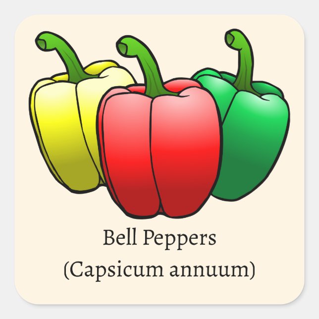 Bell Peppers Square Sticker (Front)