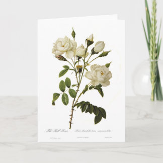 Bell Rose Card