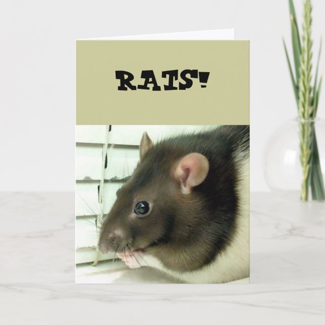 Bell The Rat Get Well Soon Card (Front)