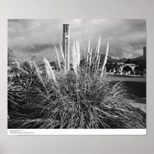 Bell Tower, Pampas Grass, December, 1966 Poster