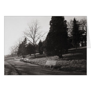 Bell Vue Park, Newport, Mon (Dec 1977)