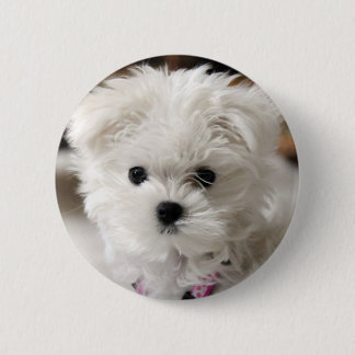 Bella 6 Cm Round Badge
